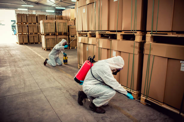 Best Pest Control for Businesses  in Dunlap, IA