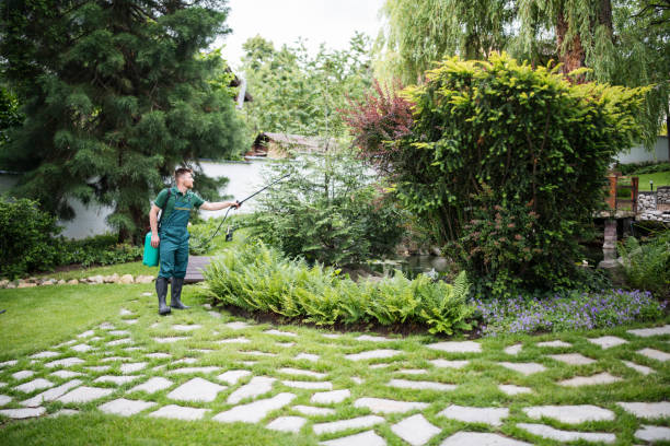 Reliable Dunlap, IA Pest Control Solutions