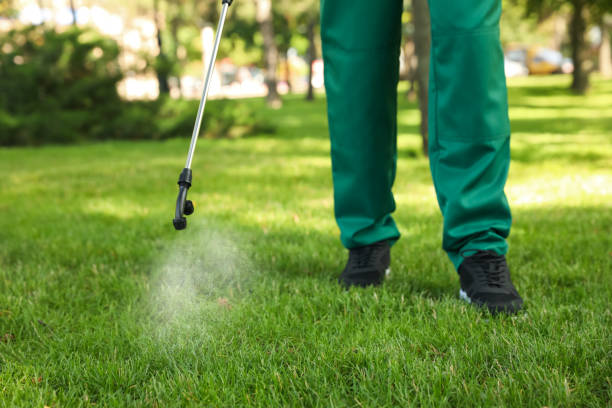 Wasp Removal Services in Dunlap, IA
