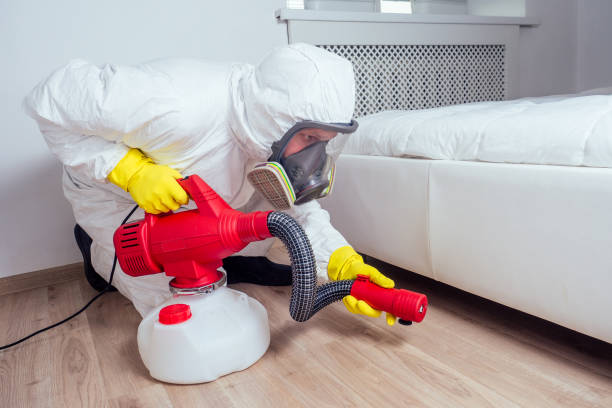Best Emergency Pest Control  in Dunlap, IA