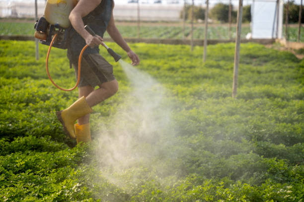 Best Affordable Pest Control Services  in Dunlap, IA