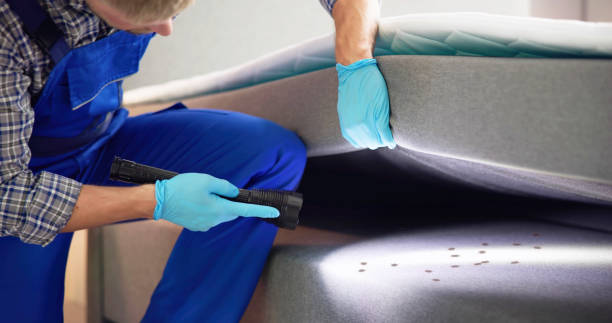 Best Bed Bug Extermination  in Dunlap, IA