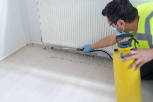 Best Mosquito Control Services  in Dunlap, IA
