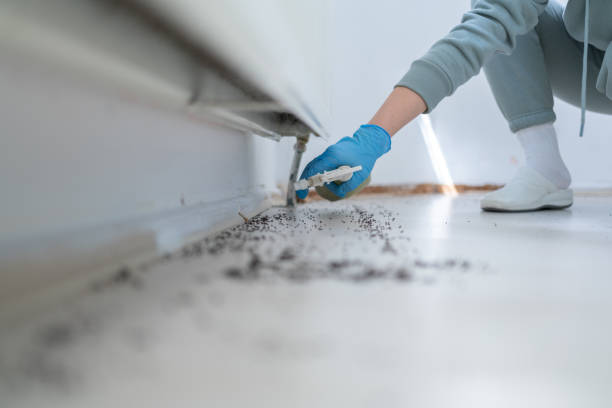 Best Cockroach Control Services  in Dunlap, IA