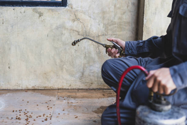 Best Local Pest Control Services  in Dunlap, IA